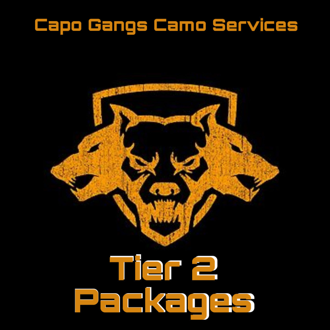 Tier 2 Packages